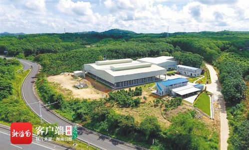 澄邁實(shí)施產(chǎn)業(yè)扶貧項(xiàng)目94個(gè) 投入扶貧資金3359萬(wàn)元